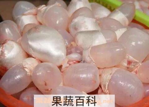米鱼鱼鳔的功效与作用及药用价值