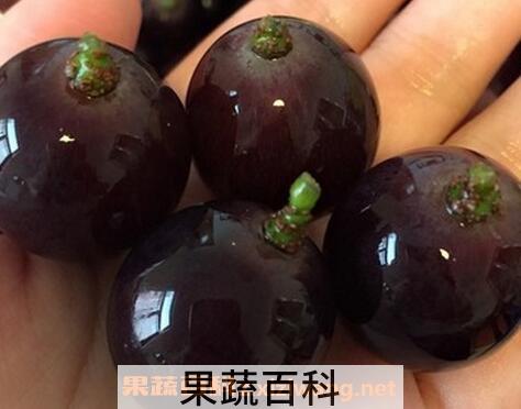  洗葡萄的正确方法 