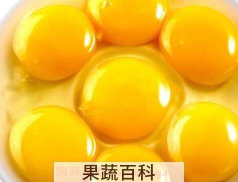 含铁高的食物有哪些 补铁的食物有哪些
