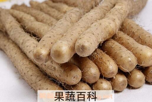 山药有哪些功效与作用
