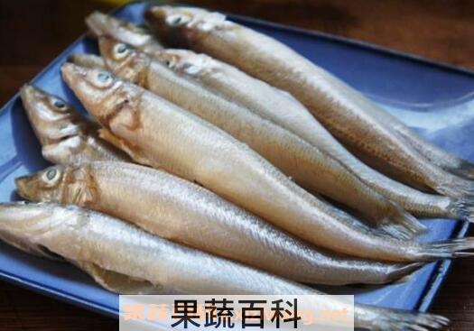 沙丁鱼的功效与作用