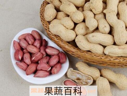 吃生花生有什么好处与功效