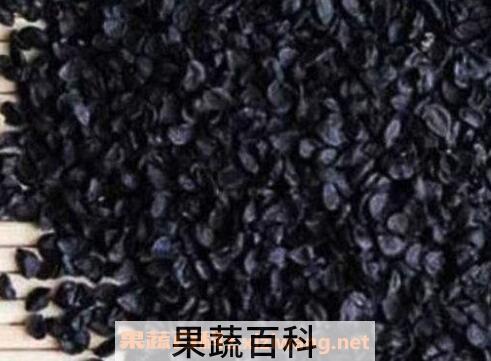 韭菜子的功效与作用及食用方法