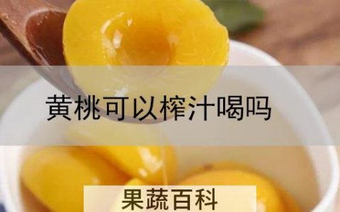 黄桃可以榨汁喝吗