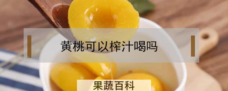 黄桃可以榨汁喝吗