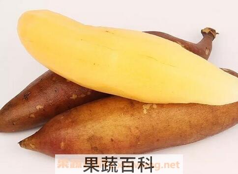 雪莲果怎么吃 