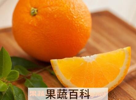 橙子怎么挑选 