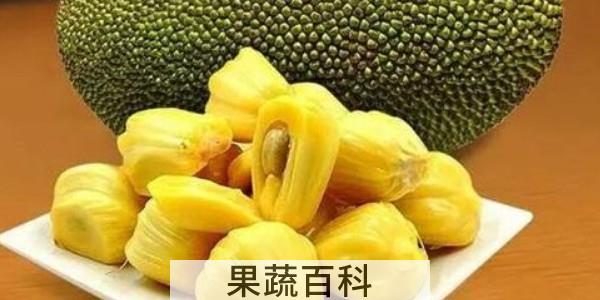菠萝蜜不熟切开会坏吗