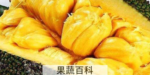 菠萝蜜不熟切开会坏吗