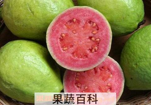 芭乐的营养价值