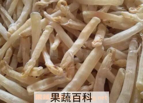 白沙虫干的功效与作用