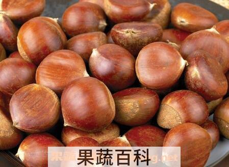 栗子怎么保存不变质