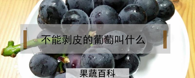 不能剥皮的葡萄叫什么