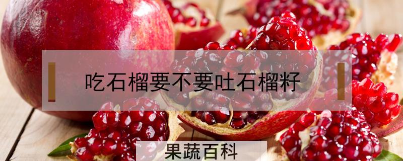 吃石榴要不要吐石榴籽