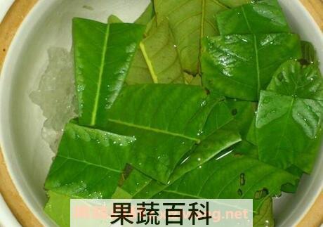 枇杷叶煮水有什么作用