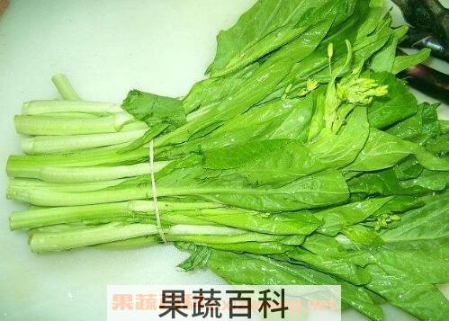 干油菜苔的功效与药用