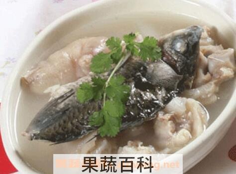 猪爪鲫鱼功效与作用