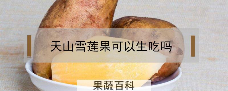 天山雪莲果可以生吃吗