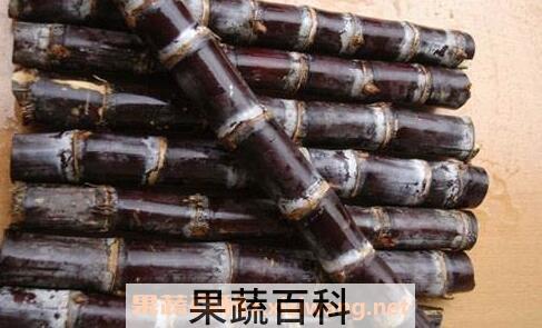 甘蔗的常见吃法 甘蔗怎么吃好