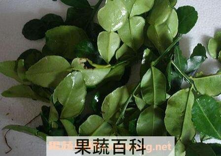  柠檬叶有什么作用
