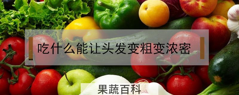 吃什么能让头发变粗变浓密
