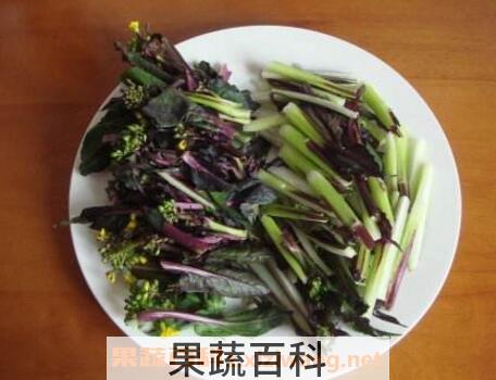 菜苔干怎么做 菜苔干的腌制方法