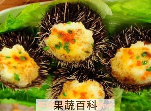 海胆怎么吃 海胆的吃法技巧