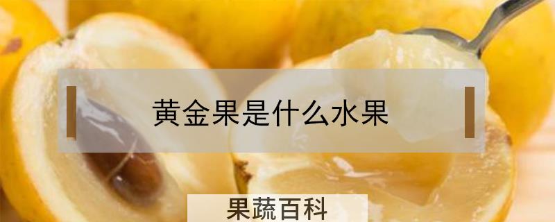 黄金果是什么水果