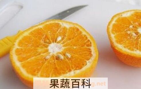 橙子籽的功效与作用