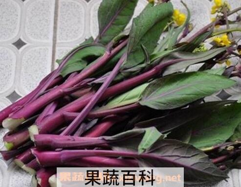红菜苔的功效与作用