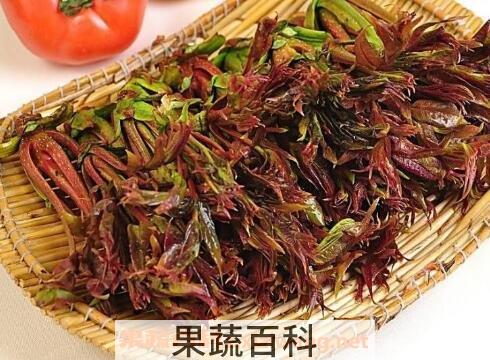 吃香椿的好处和坏处