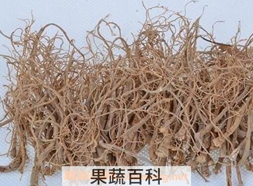 番石榴根的功效与作用