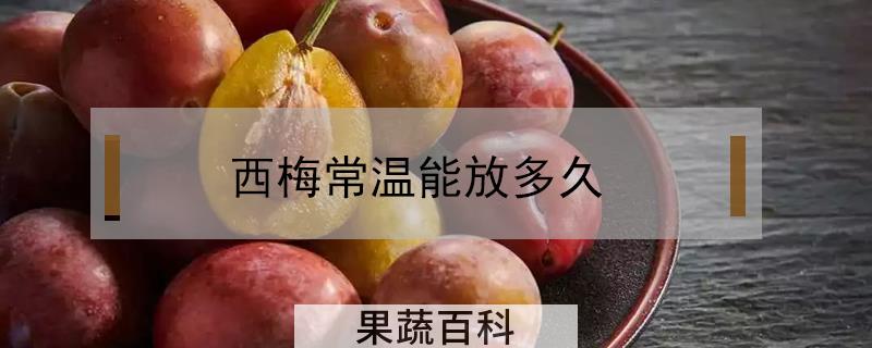 西梅常温能放多久