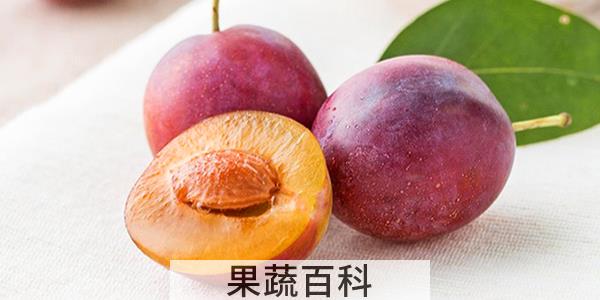 西梅常温能放多久