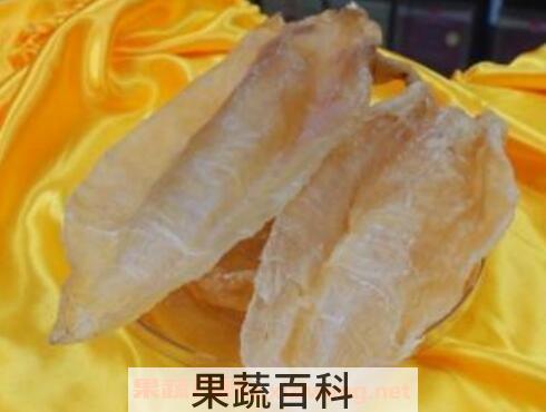 鱼胶的功效与作用