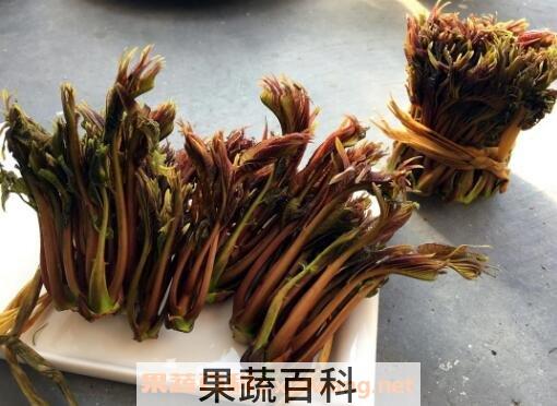 吃香春芽的好处和坏处
