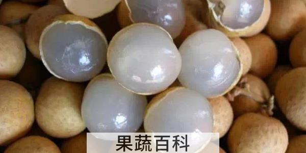 桂圆与龙眼一样吗