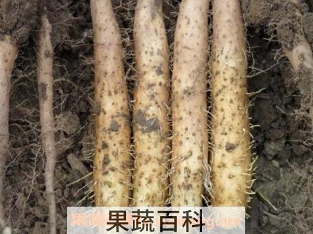 山药痒手怎么办 山药痒手的解决方法