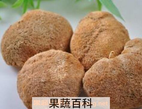 猴头菇怎么吃最养胃