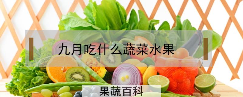 九月吃什么蔬菜水果