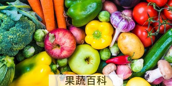 九月吃什么蔬菜水果