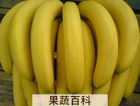 吃香蕉的禁忌 