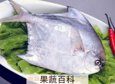 昌鱼的功效与作用