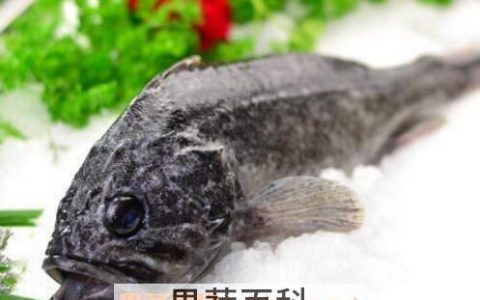 黑鲪鱼的功效 黑鲩鱼有什么功效