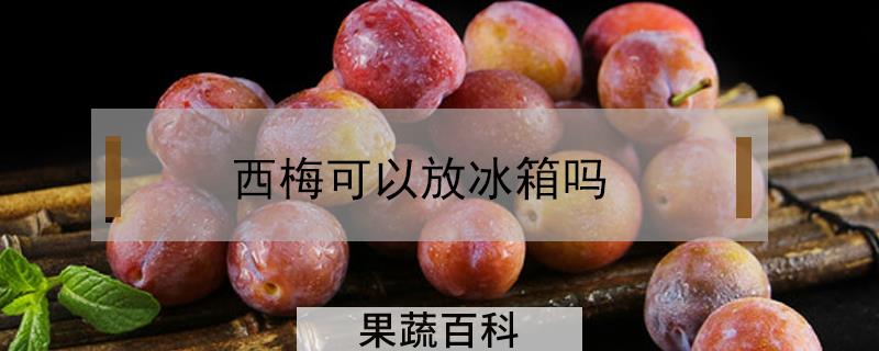西梅可以放冰箱吗