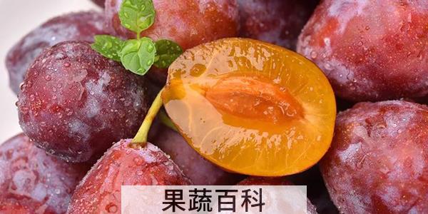 西梅可以放冰箱吗