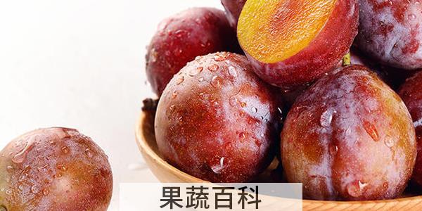 西梅可以放冰箱吗