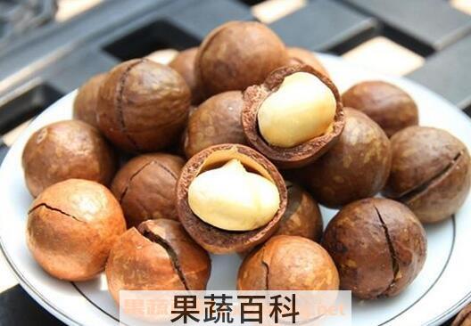 夏威夷果的营养价值