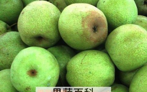 翠冠梨的营养价值与功效作用 翠冠梨的营养价值与功效与作用