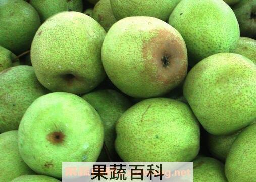 翠冠梨的营养价值与功效